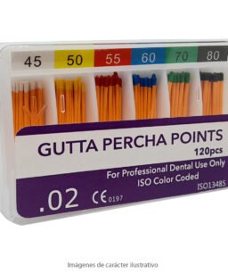 Conos GUTA taper02 45/80 x120 28mm TB-Easydent
