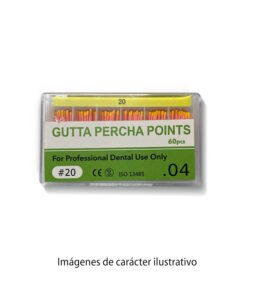 Conos GUTTA Taper04 20 28mm cajax60 TB Easydent 14-10004 20