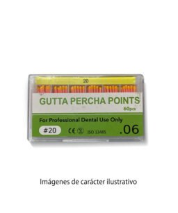 Conos GUTTA Taper06 20 28mm cajax60 TB-Easydent 14-1005 20