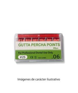 Conos GUTTA Taper06 25 28mm cajax60 TB-Easydent 14-1005 25