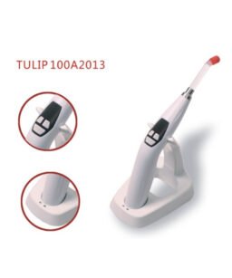 LAMPARA TULIP 100A MANGO ANAT. INALAMBRICA 1800mw  Being (por encargo)