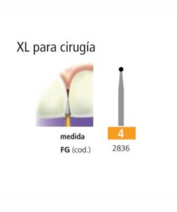 Fresa Carburo FGXL 4  Easydent redonda