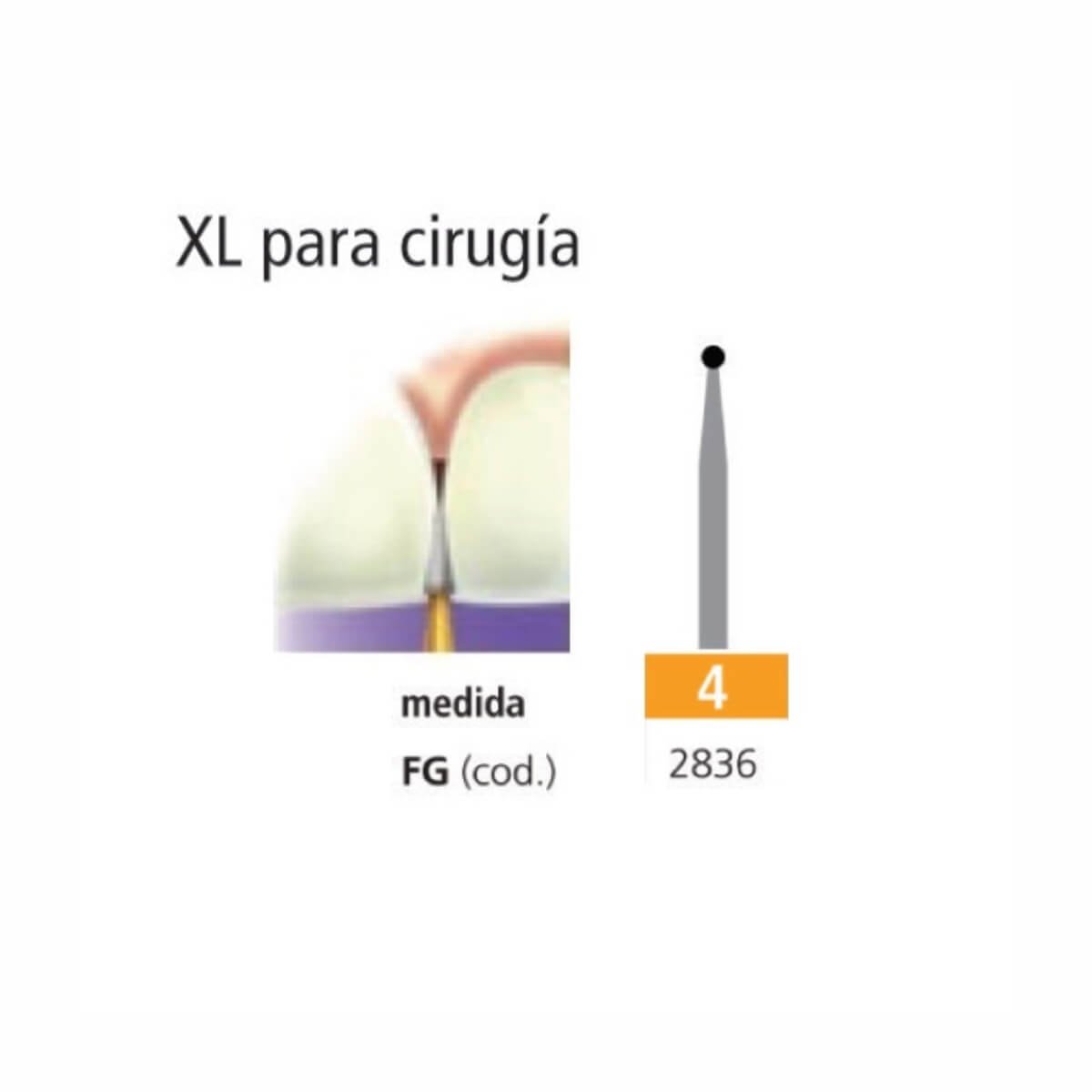 Fresa Carburo FGXL 4 Easydent redonda