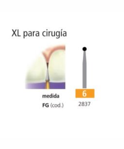 Fresa Carburo FGXL 6 redonda c/u Easydent