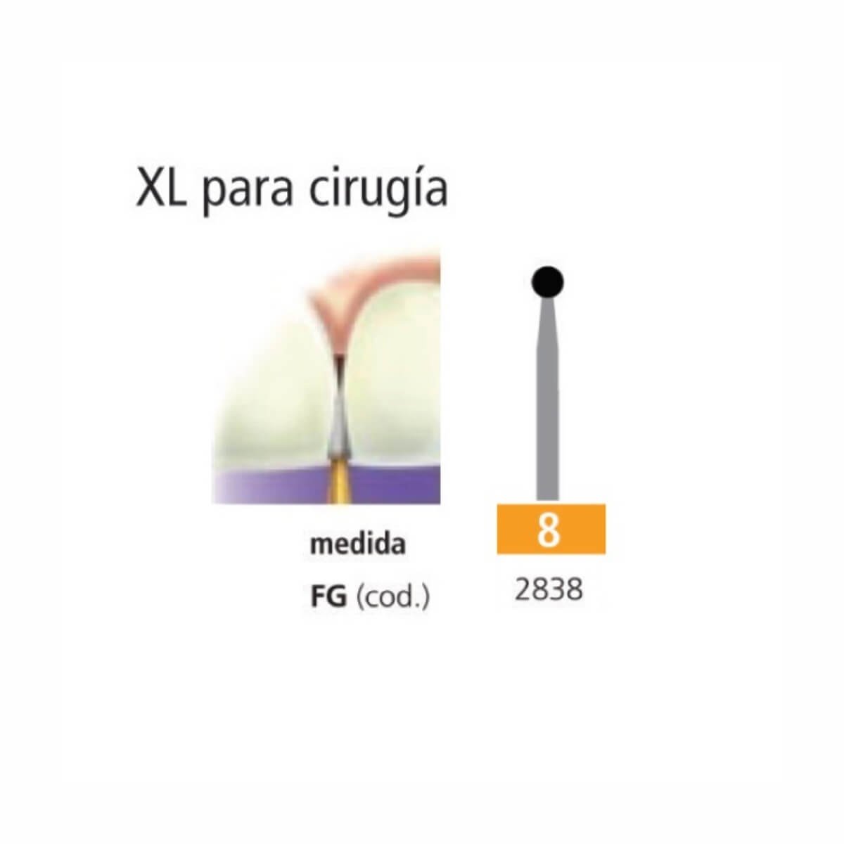 Fresa Carburo FGXL 8 redonda Easydent
