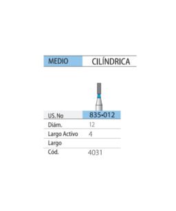 Piedra DIAM FG 835/012m Easydent 109/012m cilindrica 4mm anillo azul 1093