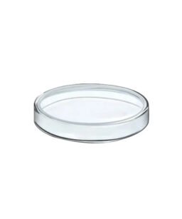 Capsula De Petri Vidrio